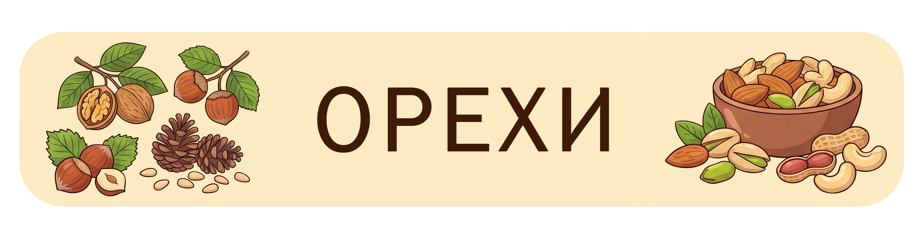 Орехи