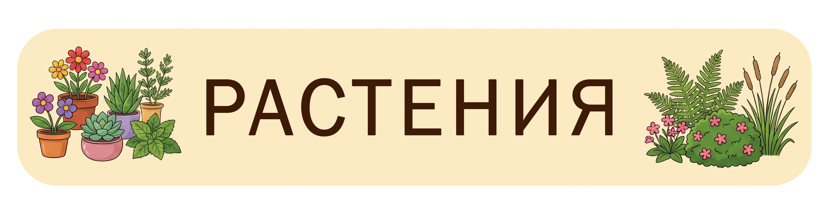 Растения