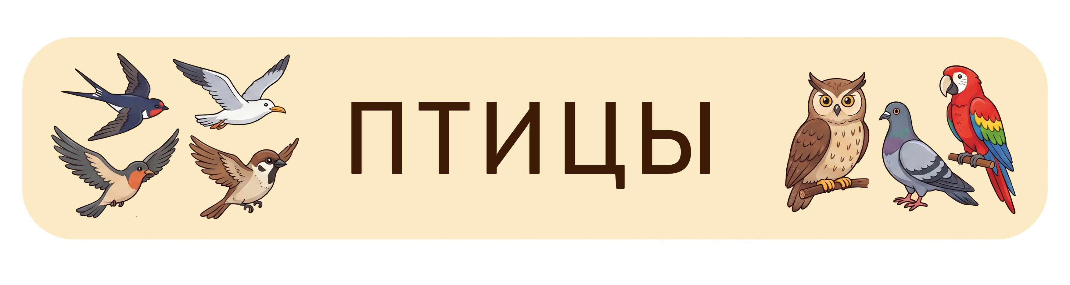 Птицы
