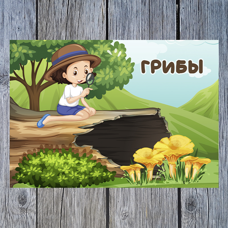 Грибы
