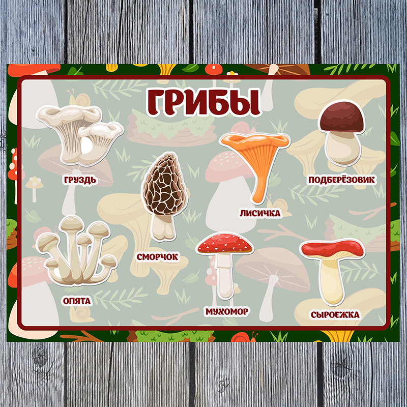 Грибы