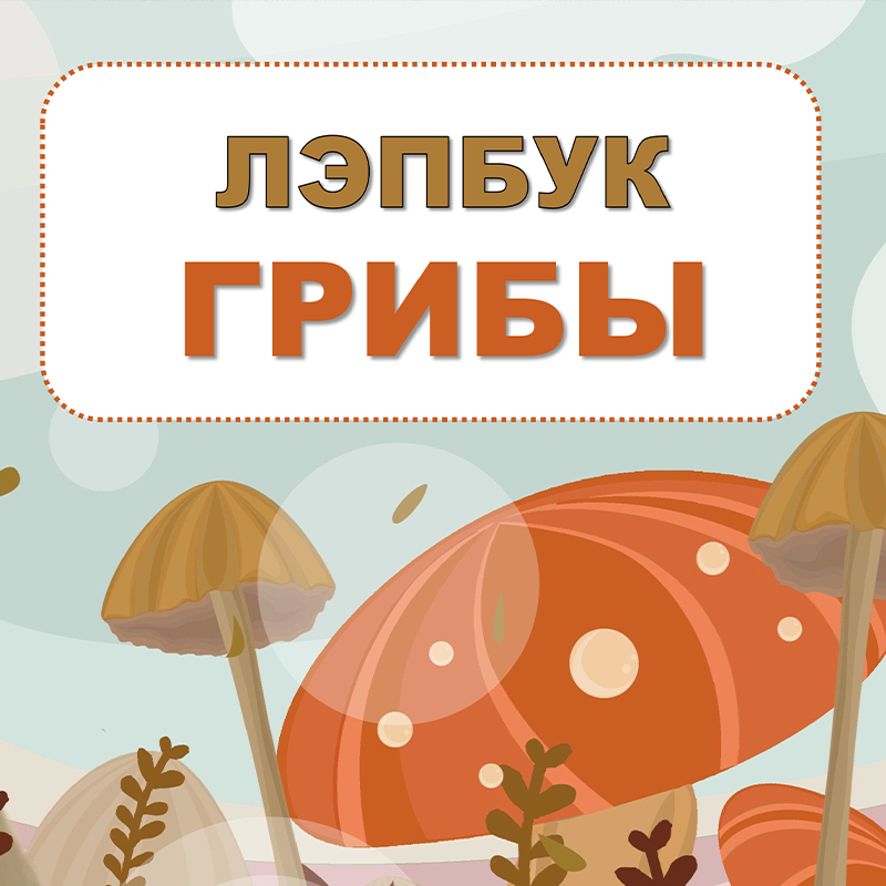 Грибы