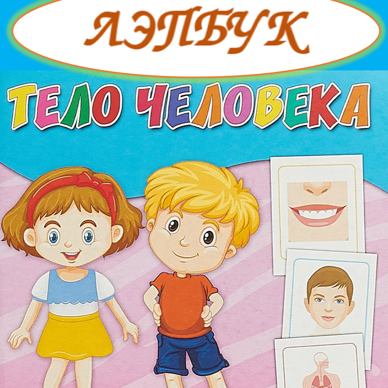 Тело человека