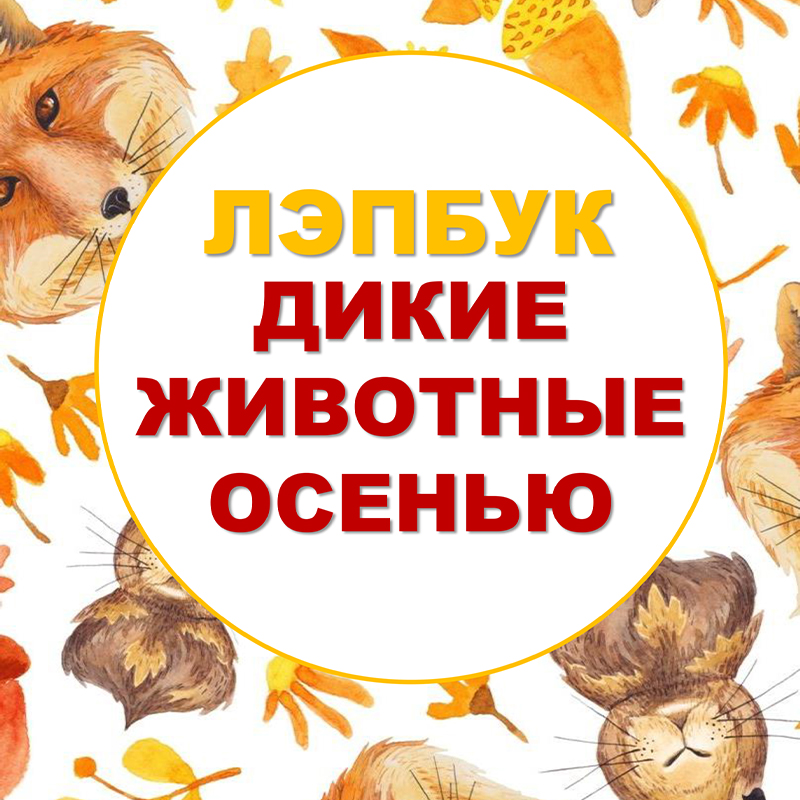 Дикие животные осенью