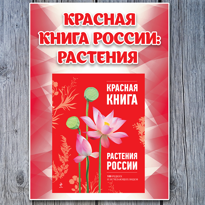 Красная книга. Растения