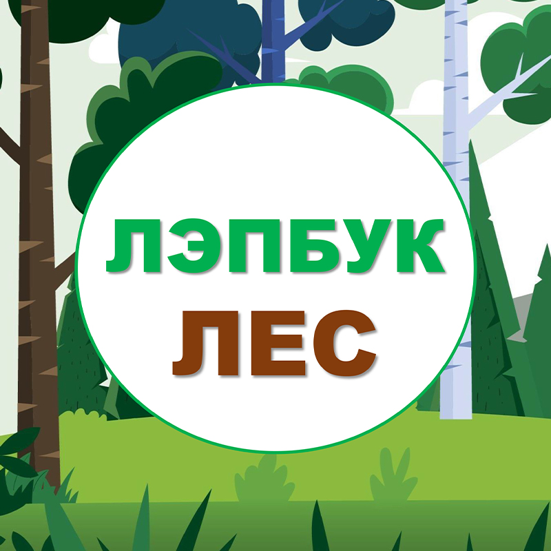 Лес