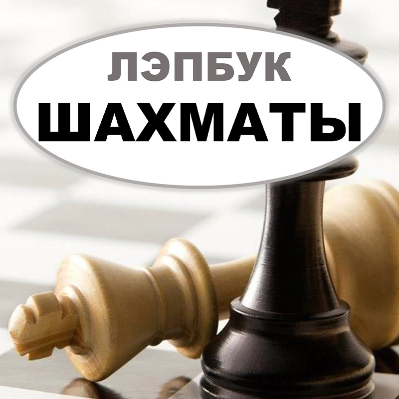 Шахматы