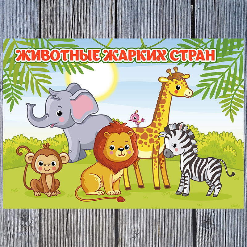 Животные жарких стран