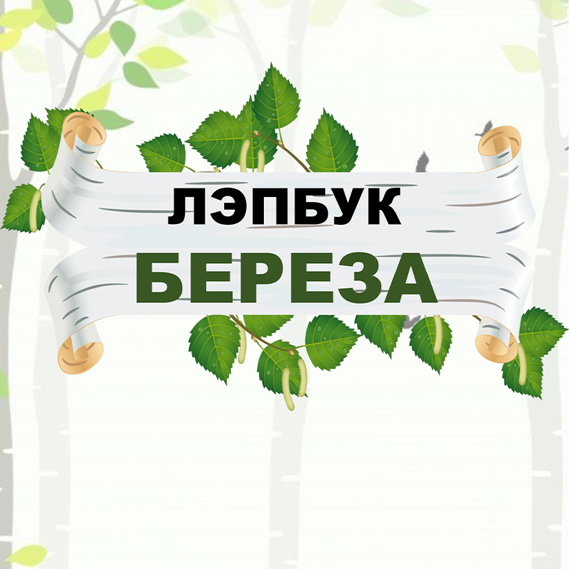 Берёза