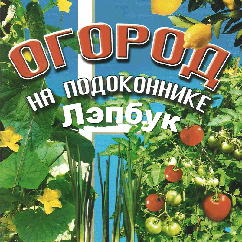Огород на подоконнике