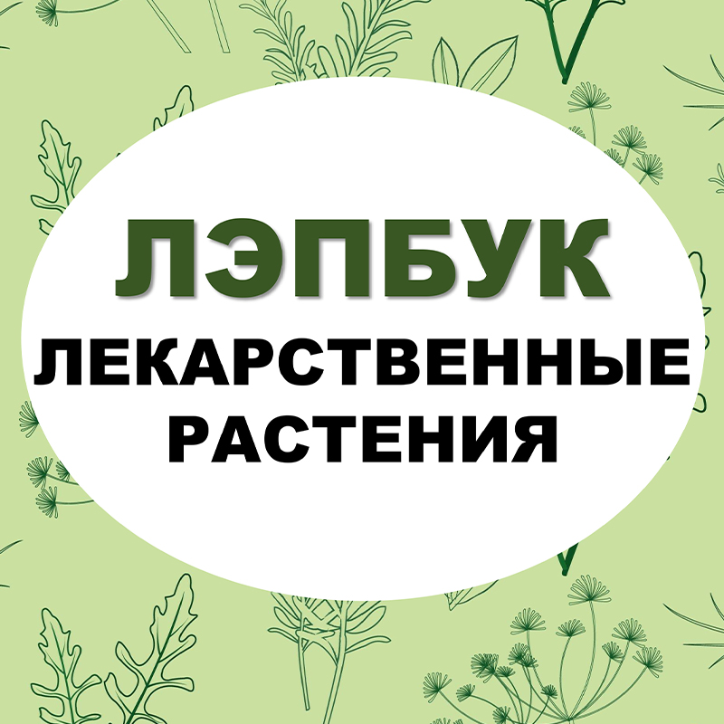 Лекарственные растения