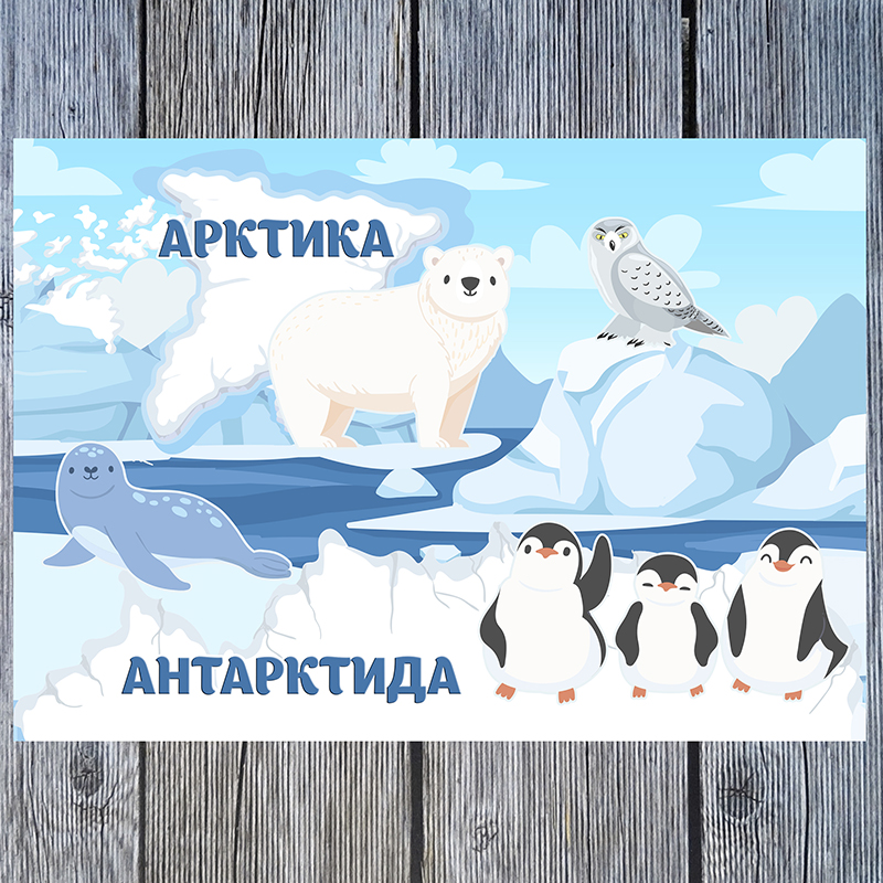Арктика и Антарктида