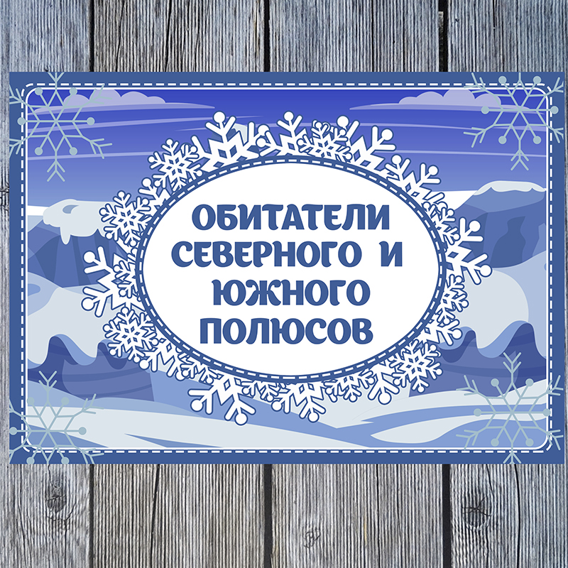Обитатели северного и южного полюсов