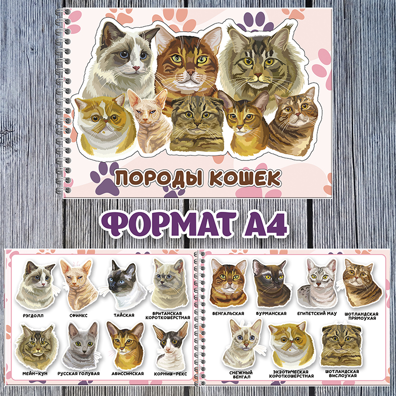 Породы кошек