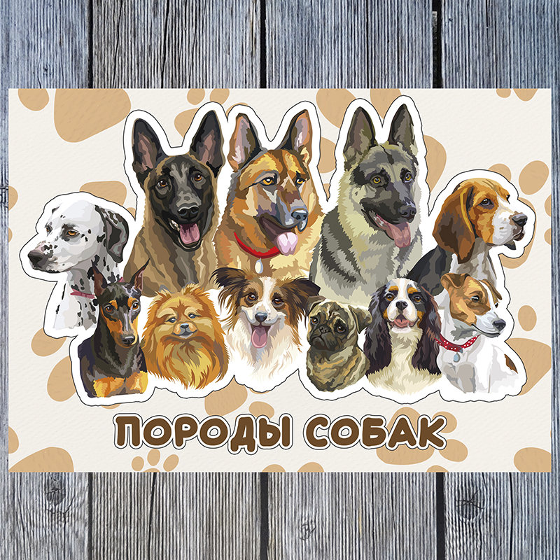 Породы собак