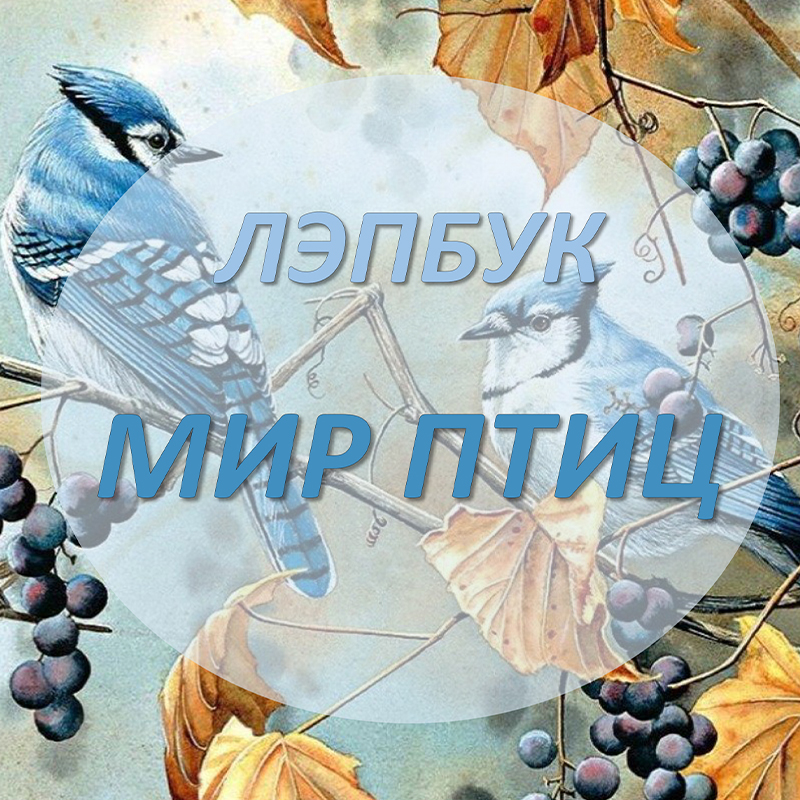 Мир птиц