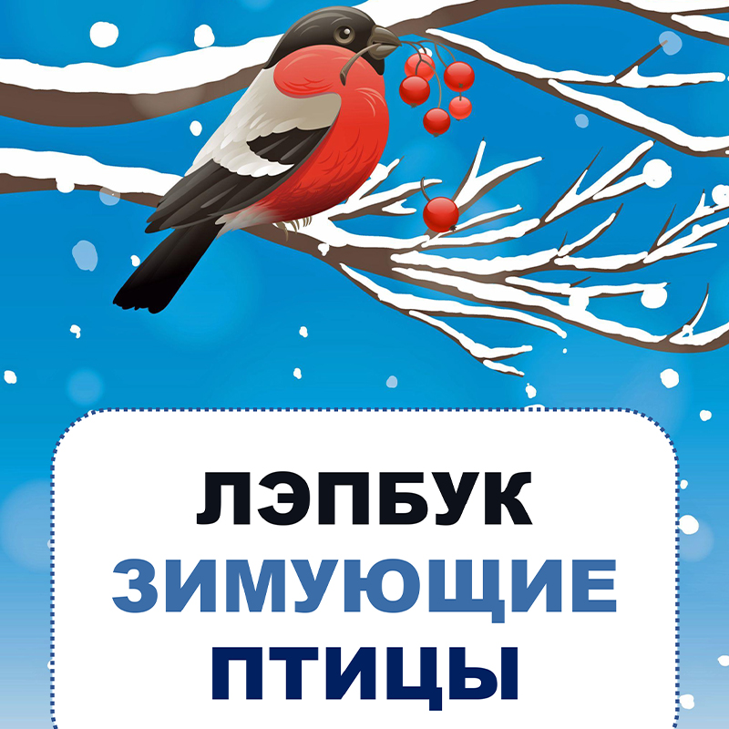 Зимующие птицы