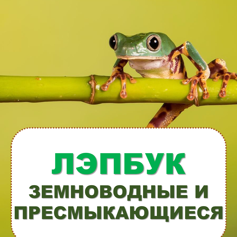 Земноводные и пресмыкающиеся