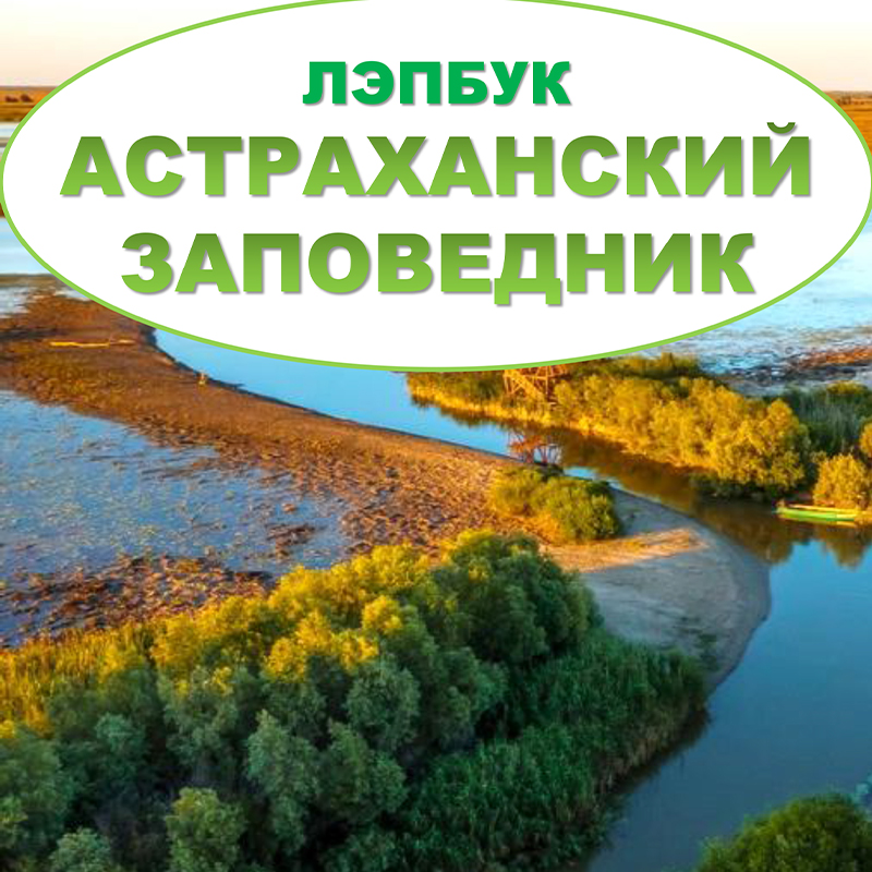 Астраханский заповедник