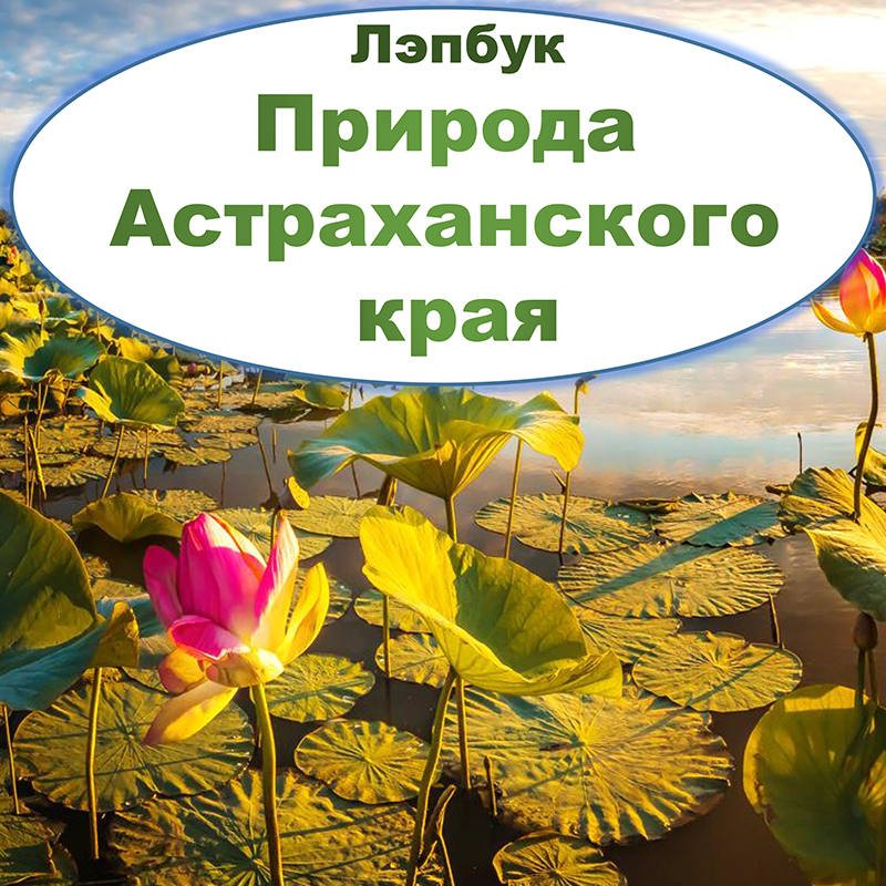 Природа Астраханского края. Астрахань