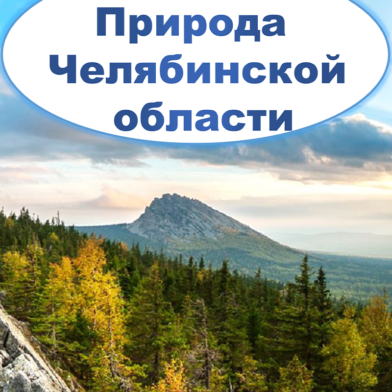 Природа Челябинской области. Челябинск